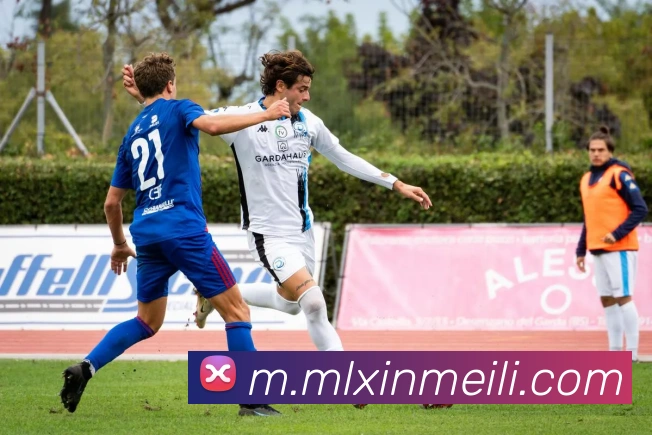米兰milan官网平台生态图